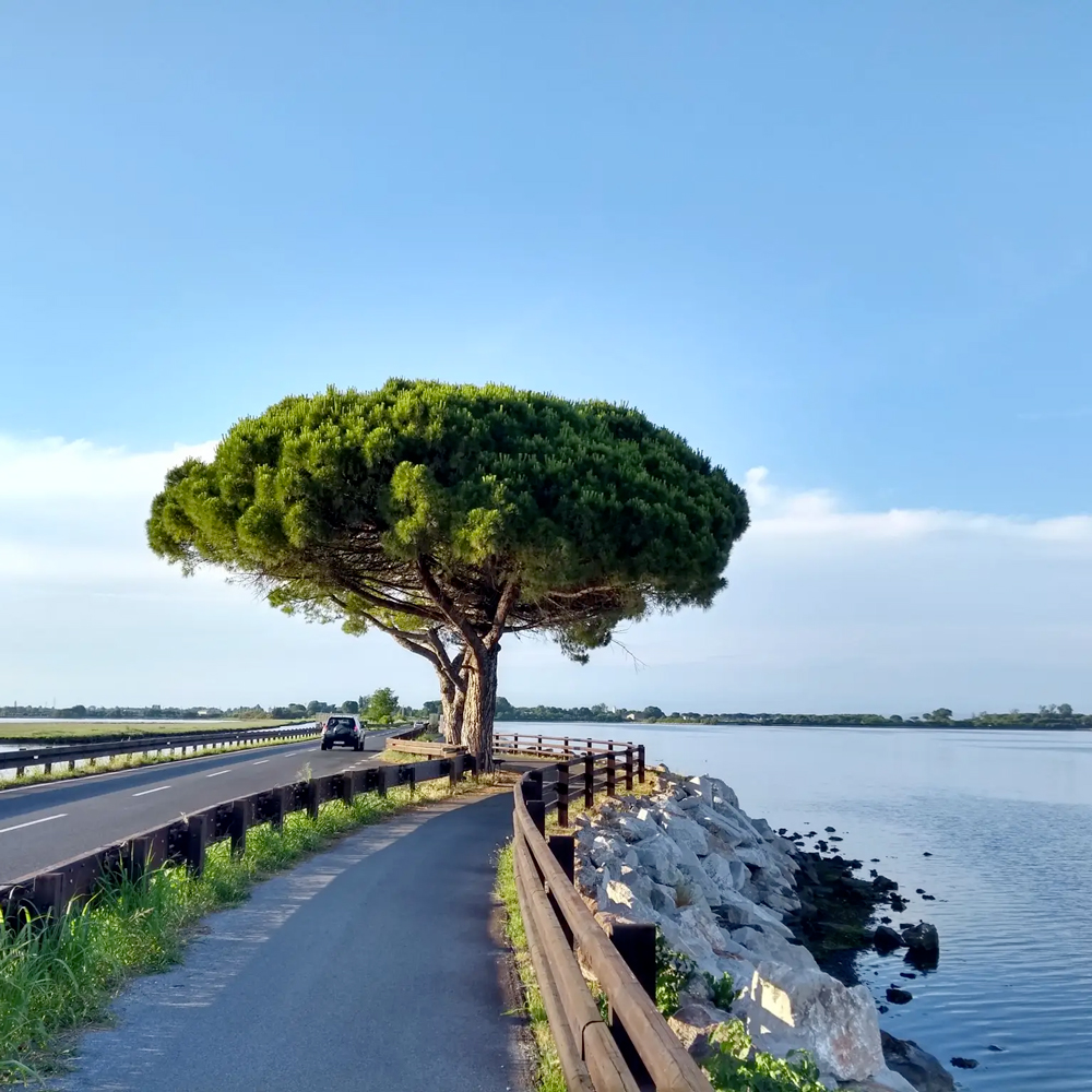 Aquileia e isola di Grado